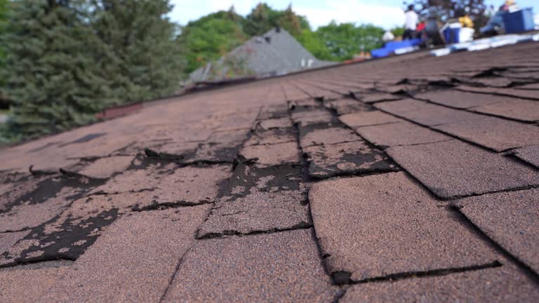 Best Asphalt Shingles Roofing  in West Mifflin, PA