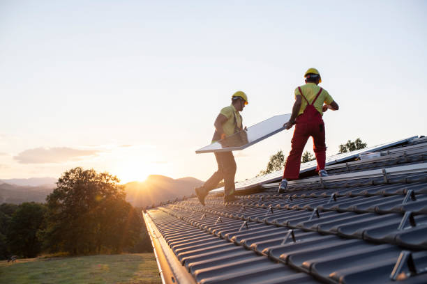 Best Roof Moss and Algae Removal  in West Mifflin, PA